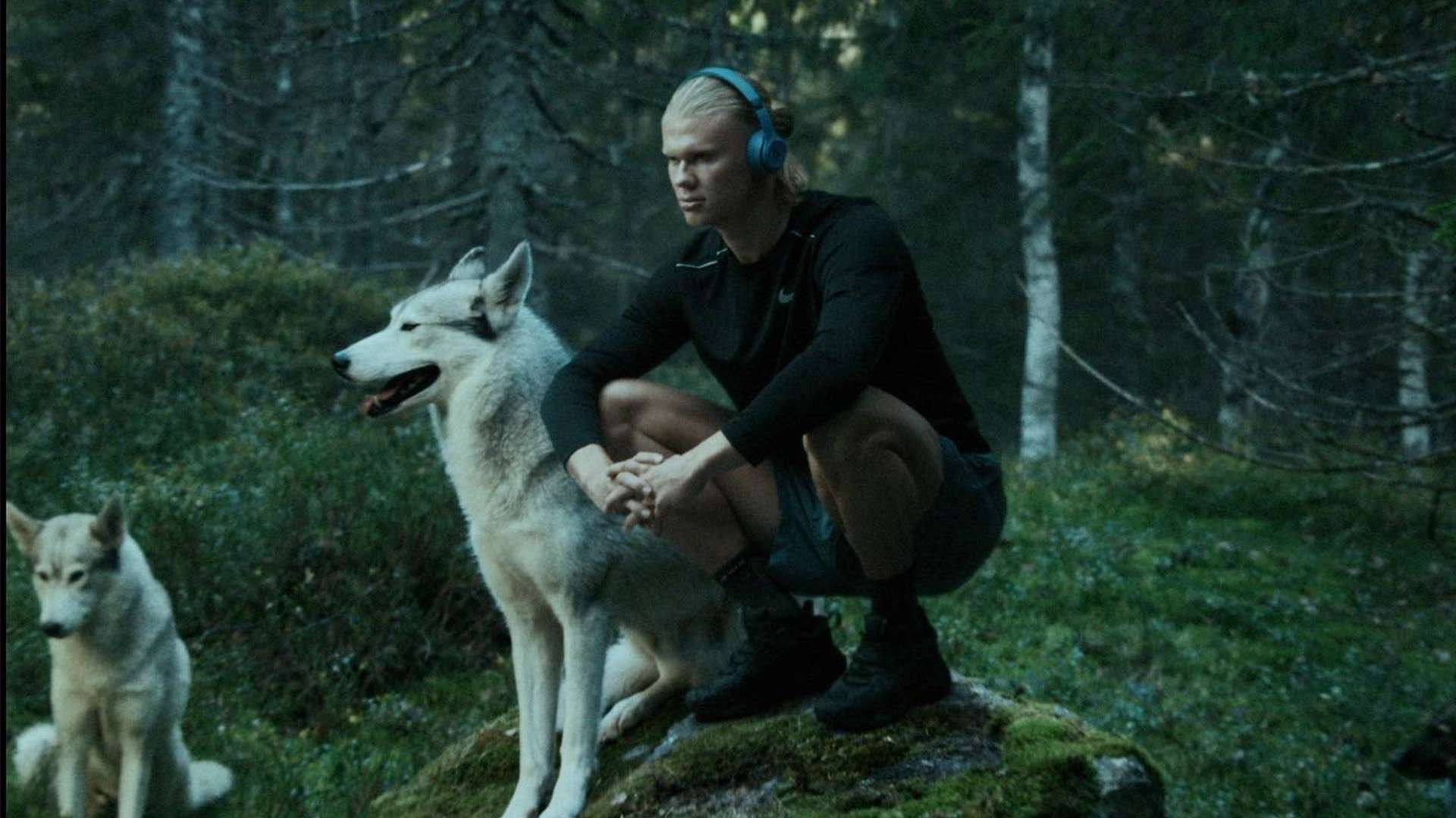 但足球世界 但足球世界