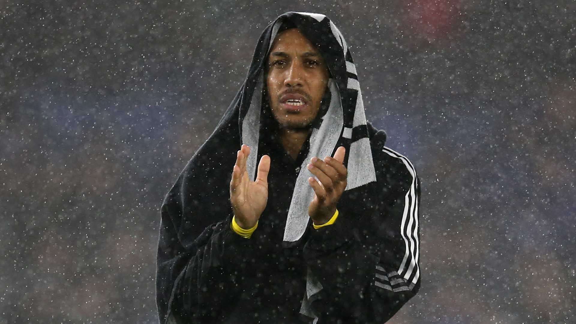 的边翼呢 的边翼呢